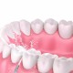 Portable Dental Water Flosser